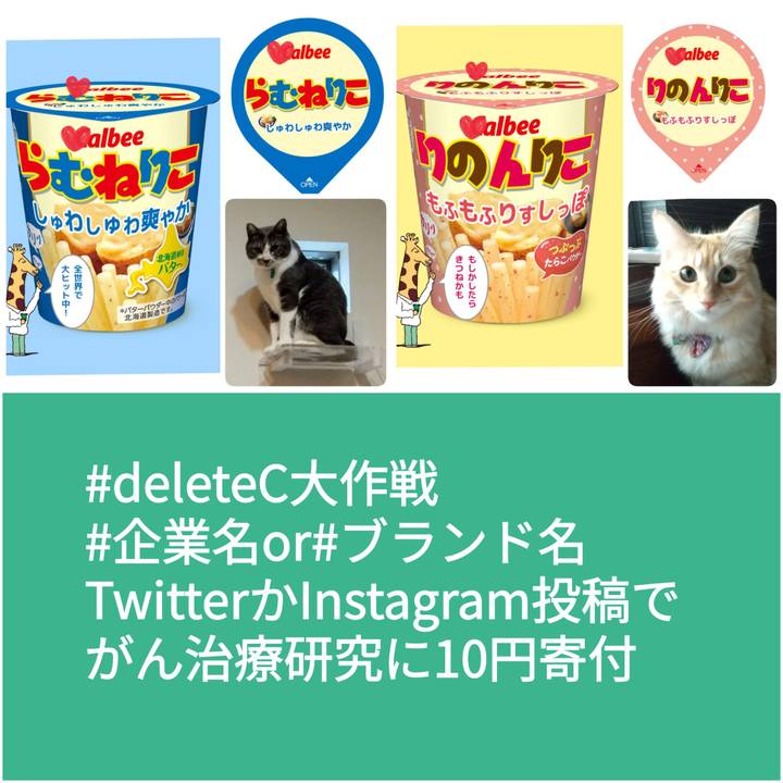 30c8c41b 93ca 4d74 8dd5 78f321a1850f 1662692905389