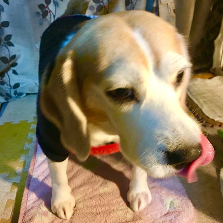 30c8cf60 53f3 4f14 8ce2 45a744c9a617 1768620005096