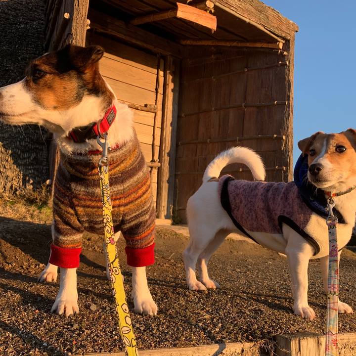 30c9005e e510 447d 8d70 ff2381c86565 1578523475531