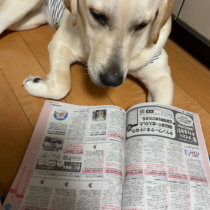 30c91bf8 ce30 405a bc78 423c0b946833 1628299180304