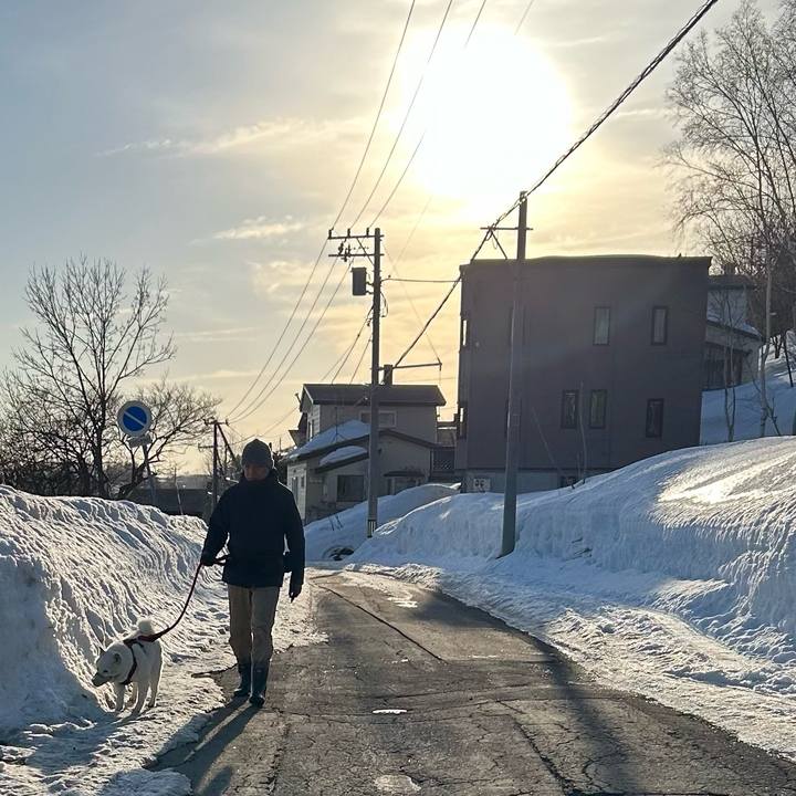 30c93483 db25 40a0 bfff 258c952ee2a7 1711408050310