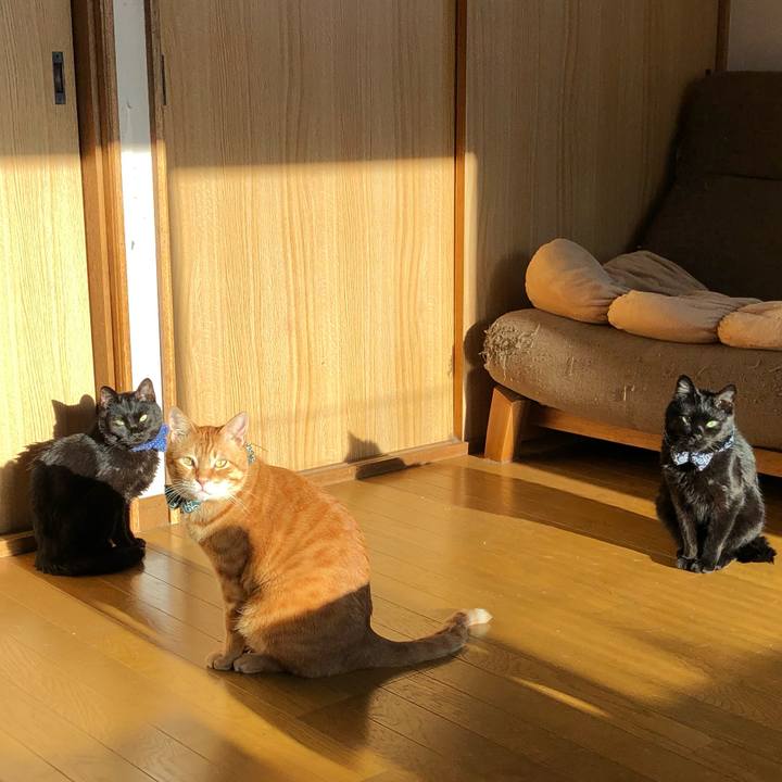 30c936ec 259a 48bc b421 89060a3e1eb4 1559808092230