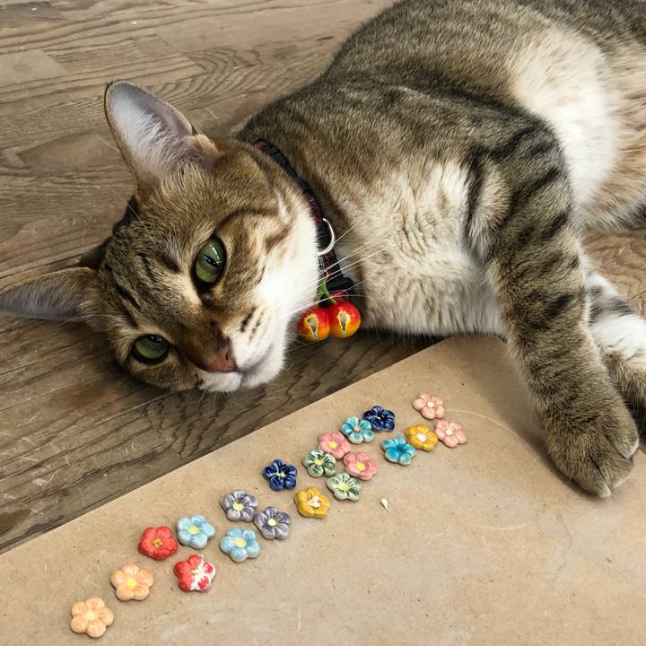 30c94225 a946 4f13 9929 374cc1c69bd6 1657193420186