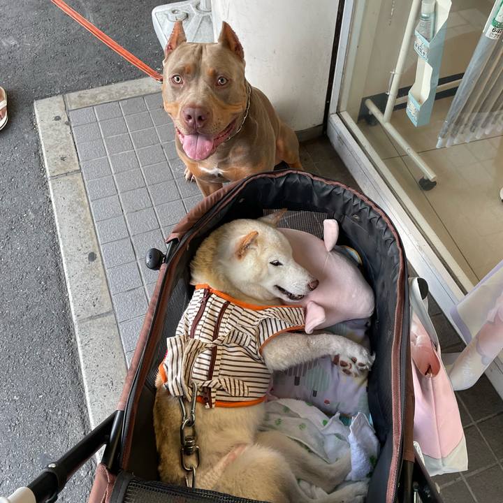 30c94386 b994 4d81 b4b9 9b3d15642d18 1663932664721