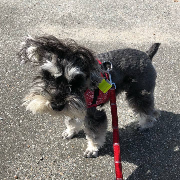 30c9781c 028d 4d1d 980a 5542605161f3 1526785883147