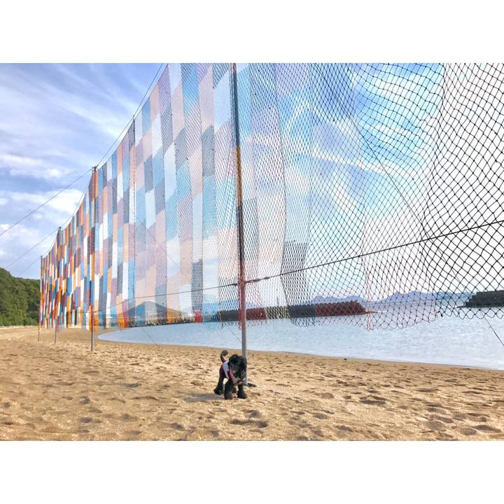 30c999b0 8d3f 4835 bf33 1b9ca408d8a7 1557067275172