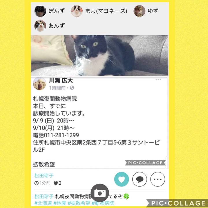 30c9be69 6f35 4dc4 893d 63b0c76d4588 1536320868662