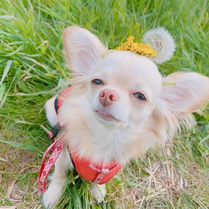 30c9ec0d 3582 4b7d b39c 2f3fdcb5c565 1619598747356