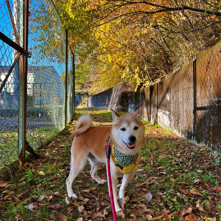 30ca0d0c 10e8 48bb a421 e3f194e301e8 1763031264800