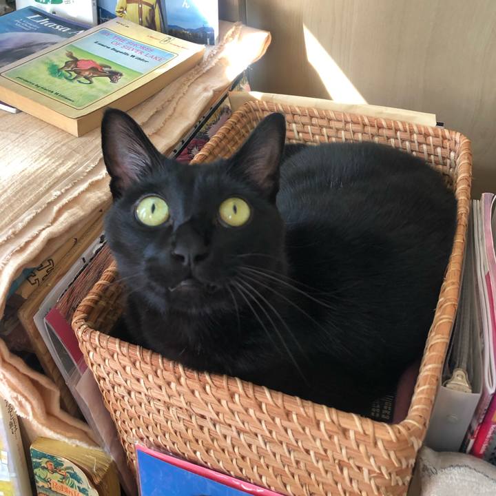 30ca11a4 3e77 4f2c bd2d 4f16ad112cf8 1667378271190