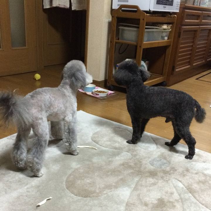 30ca3d09 e71e 4202 943a a17accfb48ff 1772496705955