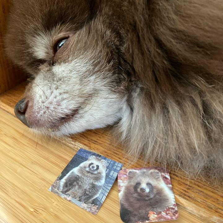 30ca5c17 26d6 4b20 b470 29ed0bd31e73 1687214712365