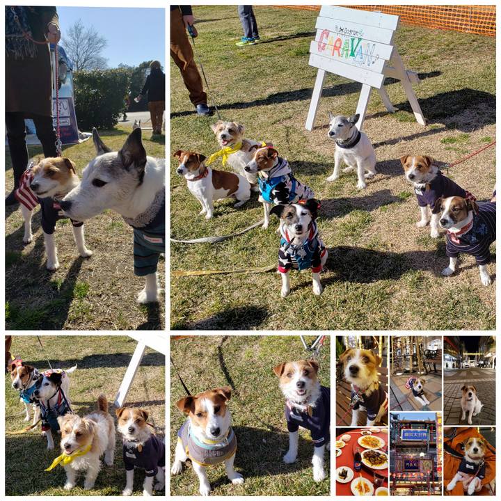 30ca950f 1088 451e 978d 78fbf641abab 1549169089472