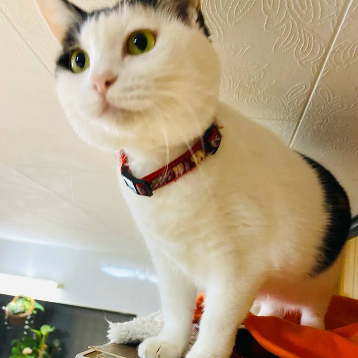 30cae624 e6f3 4ae2 aa72 e8e86f93f087 1702556761099