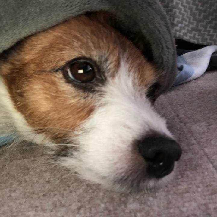 30cb06f7 180e 4d43 83b9 a552f6d1656d 1613129604697