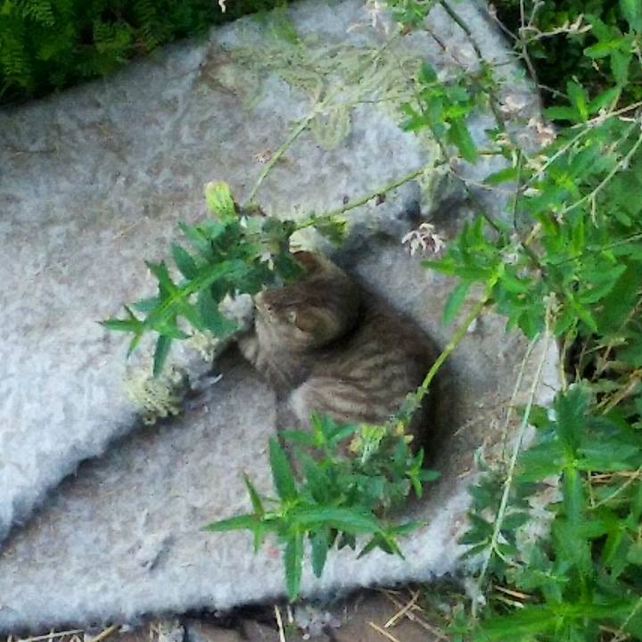 30cb2ba0 f8c8 4cf1 8c3b 63756161d4cc 1524958259946