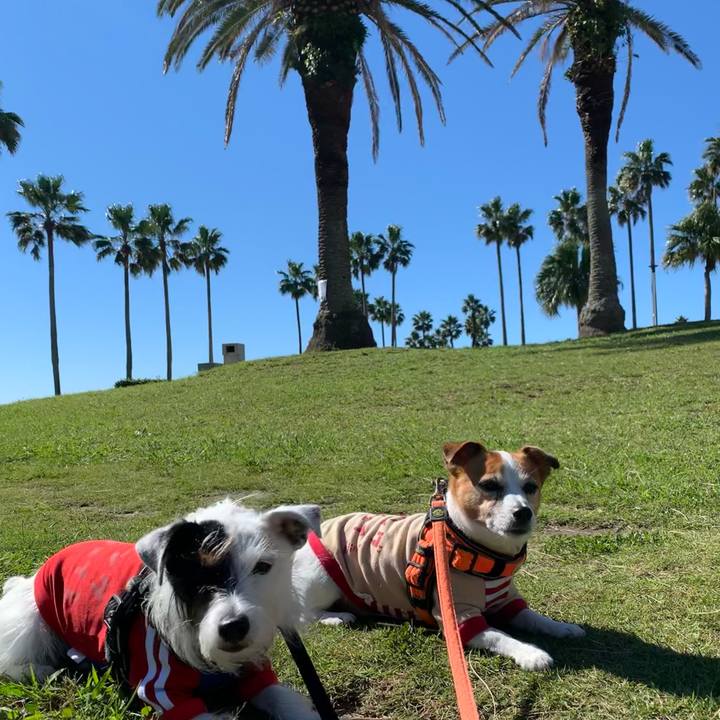 30cb337c 543d 42a4 b897 3c706c7dca76 1634952338219