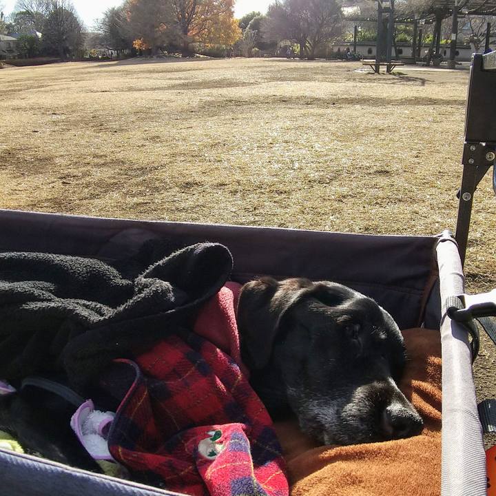 30cb340c 3554 4cd1 a2b8 491004326b92 1736313403155