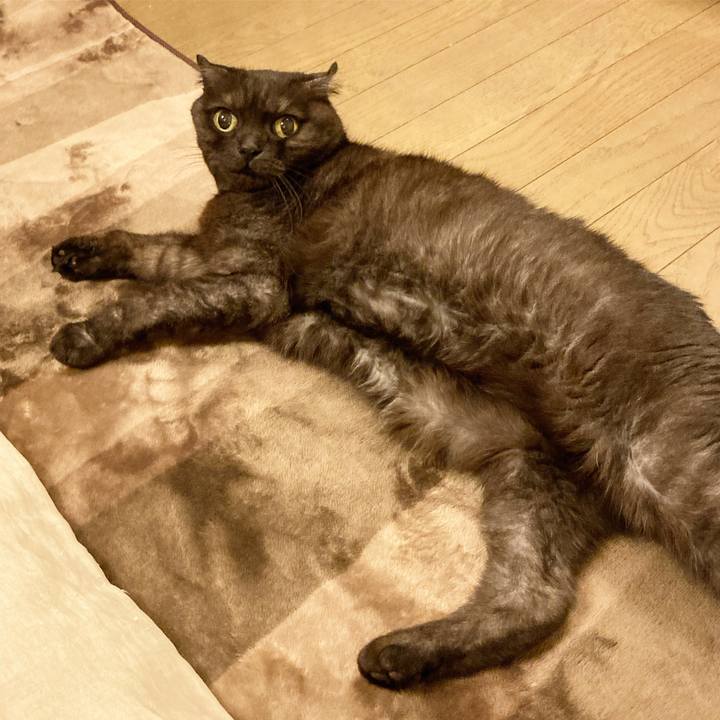 30cb9ccf a453 4019 9b02 133b6d4b2385 1591973154945