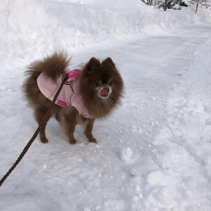 30cbfde4 0f5c 4af0 8ac9 1e69d979a2f5 1612407363363