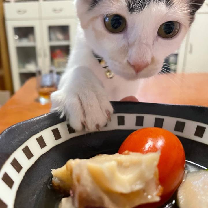 30cc6572 11aa 4e20 8c15 05dcd5bfea37 1661517783452