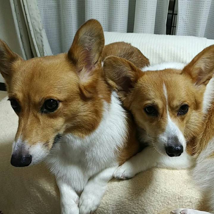 30cc925d 6a53 4ba2 8da3 c7e297376e00 1508070673936