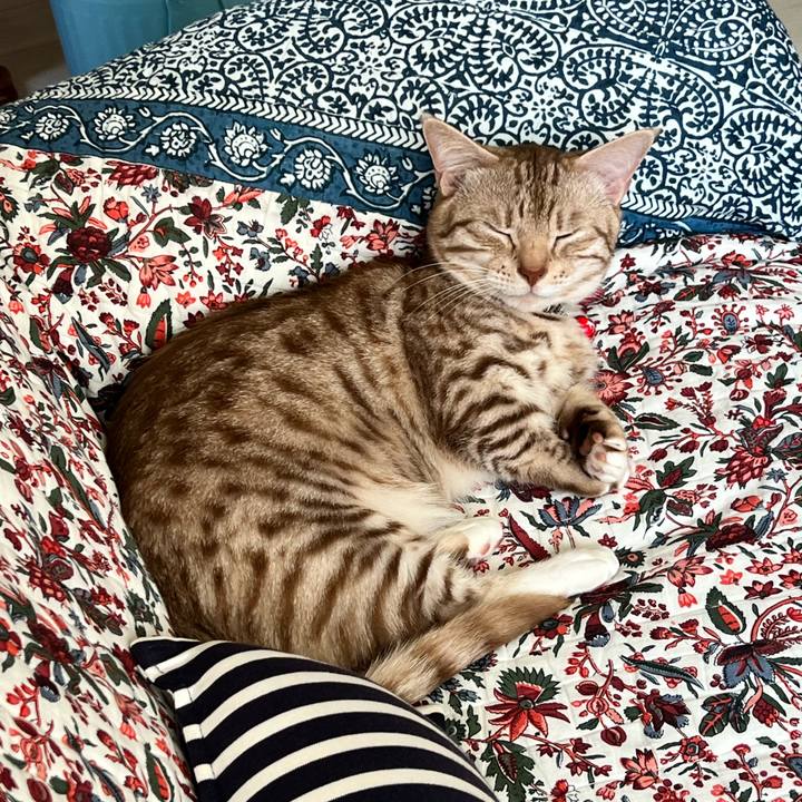 30cca175 5534 45ae 9b20 8b9c3974d0dc 1683251427998