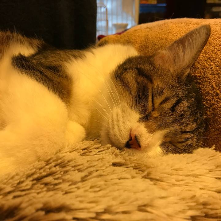 30cccc9d a5c2 4cde 81ff 8d4543072cba 1523178905755