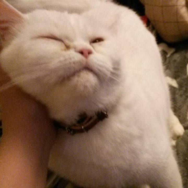 30ccd83d 92a4 45ec b45d c844ec622b3e 1518735816029