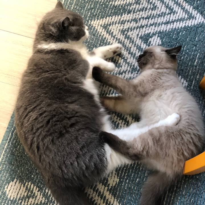 30ccea05 75da 43a9 a65a 14a476e1201a 1589242329736