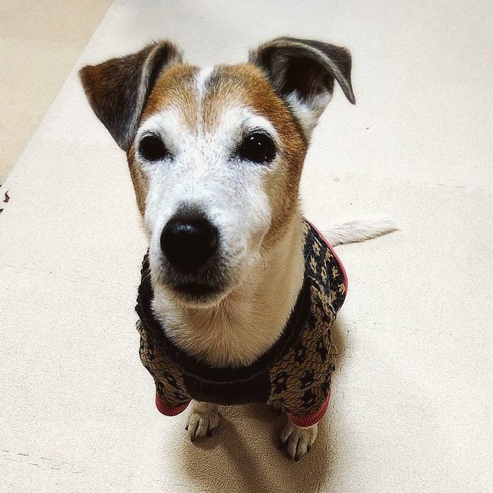 30ccf46a 186a 4397 ae5b 44ea02f2a0eb 1580900117998