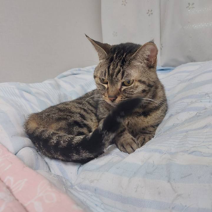 30cd0357 673a 4ba8 a477 492c4575b52b 1636579848236