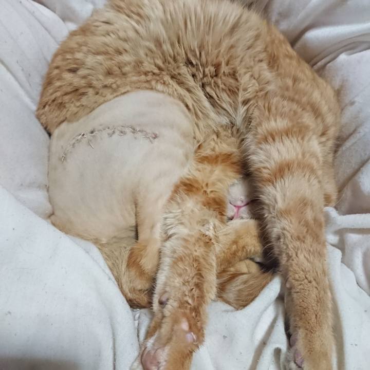 30cd2310 ca59 49a6 9926 b14a51356d57 1653878339861