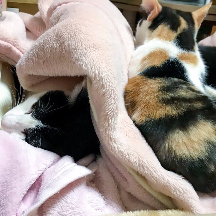 30cd47bd b6a4 4d8f 9bac 575402a81a61 1511306845922