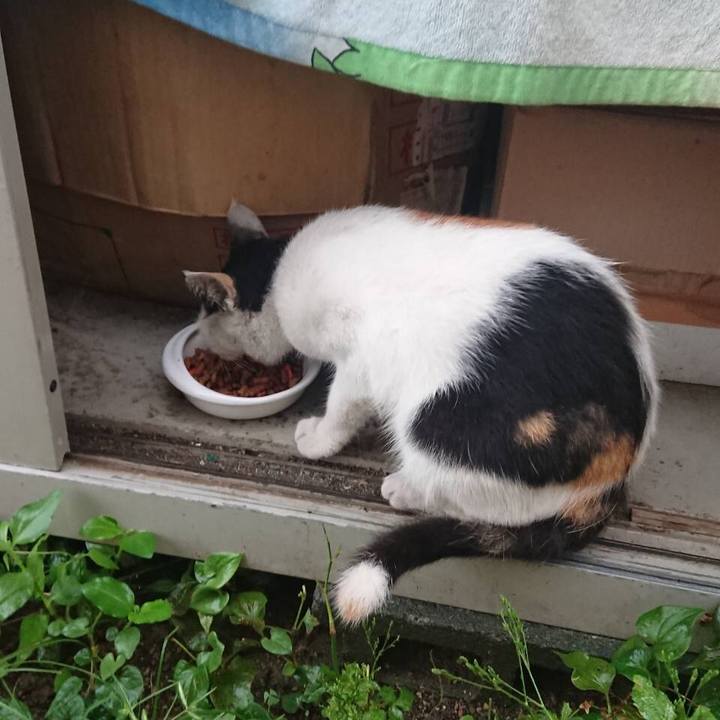 30cd576d 5e52 4894 b023 d053d5372c07 1628414969171