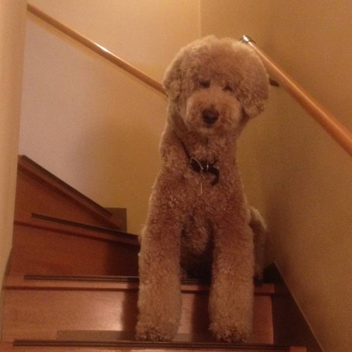 30cd629f 8244 47cd 9827 e1557bd9eaf9 1533730809579