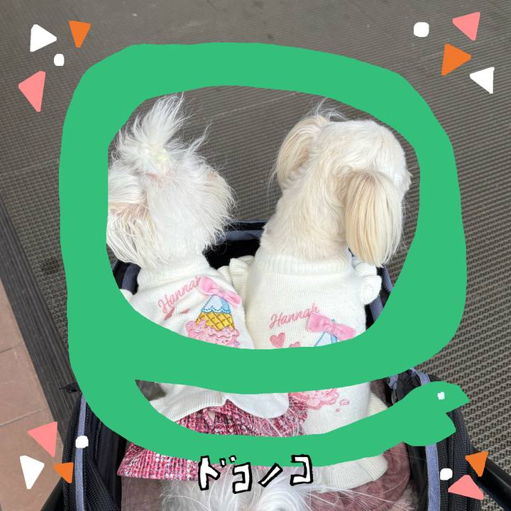 30cd62c2 a8f9 4652 b524 d4c80219168e 1741142802323