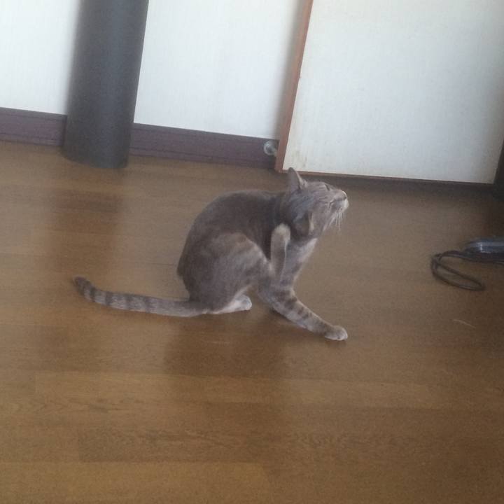 30cd6a72 9188 43cb a126 7bd21b52718a 1569918921854