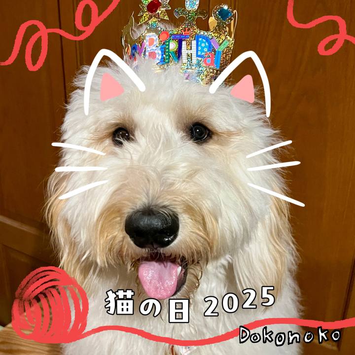 30cd72f8 f8bc 4490 99bf d8cb90e92a74 1740171179780