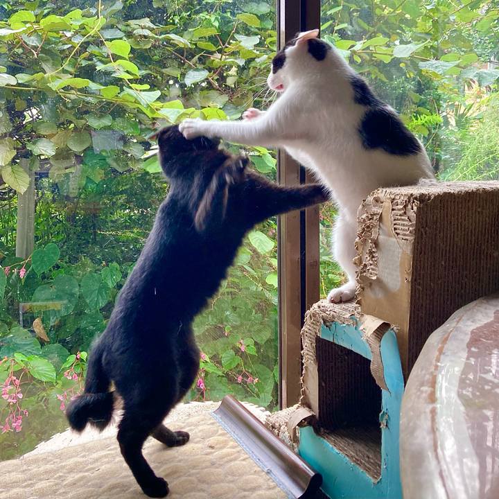 30cd9a65 e870 44f6 8614 09ba10bffecb 1662353935634