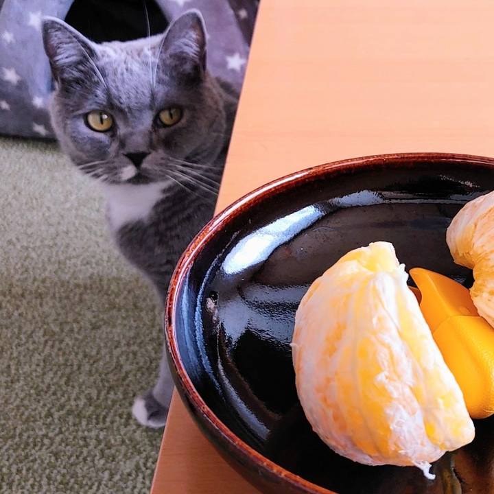 30ce0c10 3ef4 46f1 b9b3 252b500aec57 1644117717041