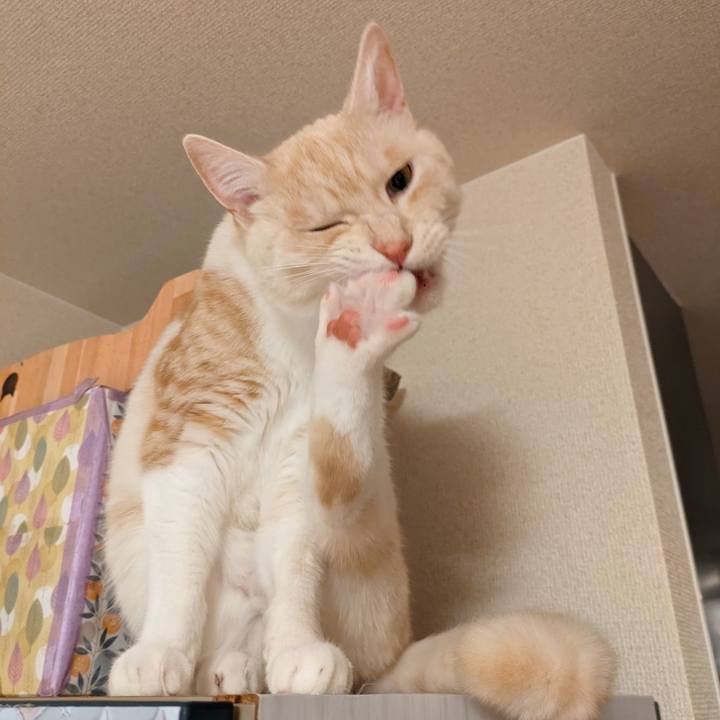 30ce198e f422 4180 b943 3e814bbf96b3 1688961307879