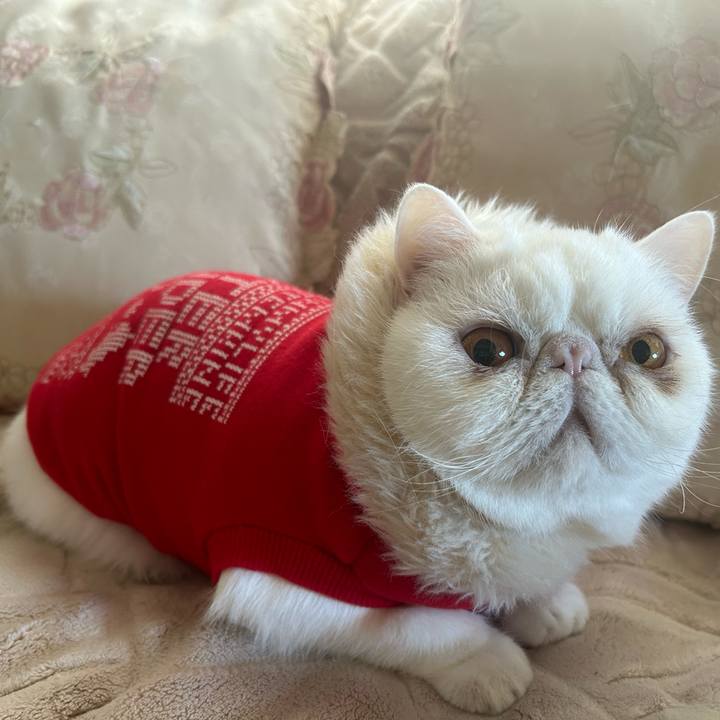 30ce1f9c dd25 4d1f a18d 032e3fd78d86 1703208596150