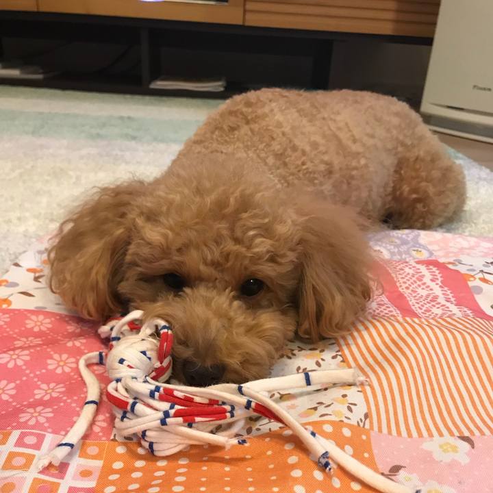 30ce4e5a 0475 42ae b3ff 8c0e6717c1bb 1510835468393