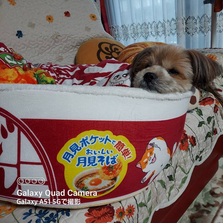 30ce4fac 02b2 4ccc b7d4 79f58026f09b 1672474500245