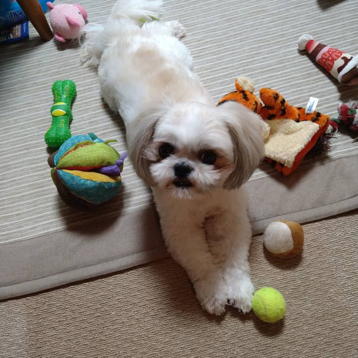 30ce700e b0a0 4be7 8d86 fdf2b628d03e 1623730084569