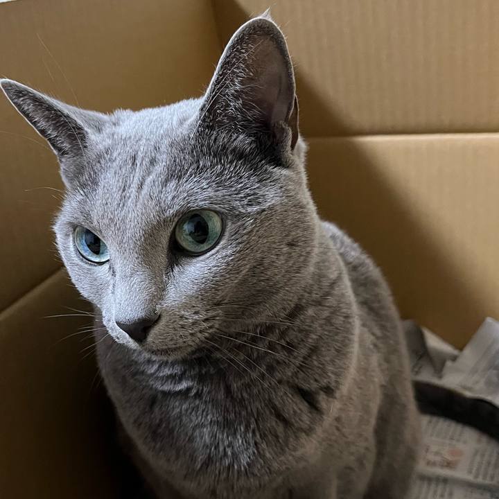 30ce8c89 3d87 4bc9 8a7c 4a543a03d1b0 1762598904563