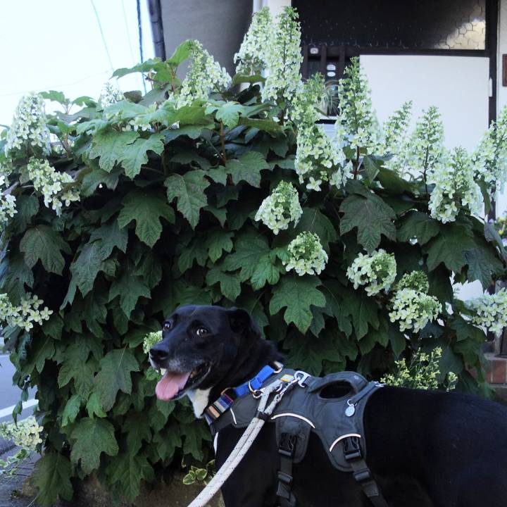 30ce91a6 42c6 41d8 905c 379f85eadc38 1653389929008