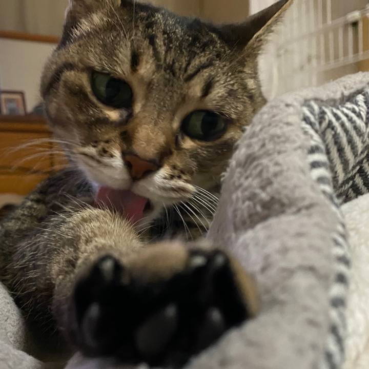 30ce9ac7 02ca 452e 941b a87faaddf909 1763199521035