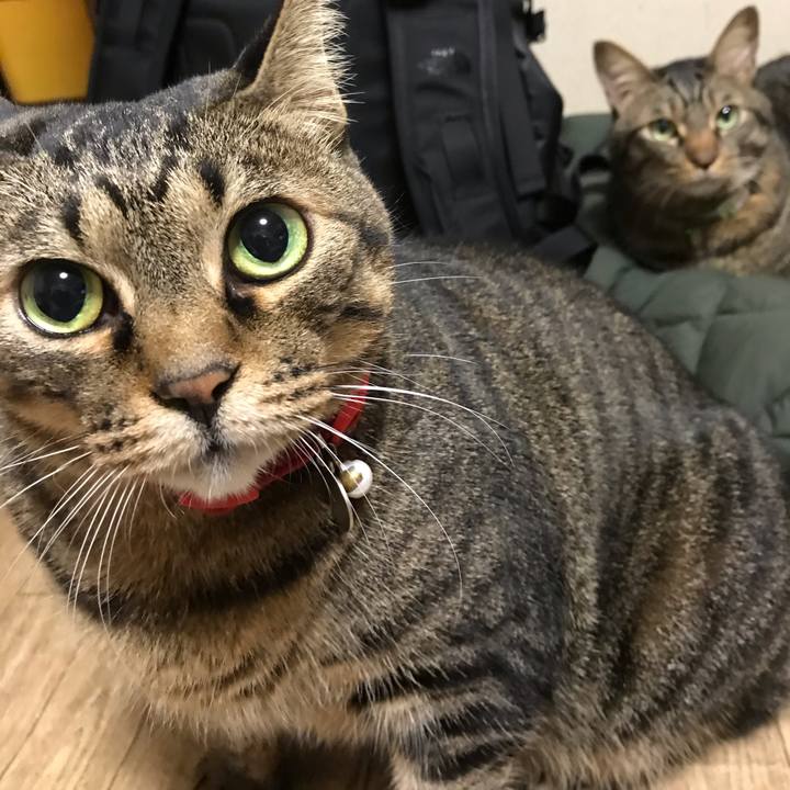 30ced578 81c5 4021 9ed5 a2f7d523c66a 1574865589216